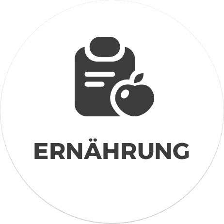 Dein Abnehmplan für 119,99 €