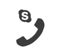 Skype Icon